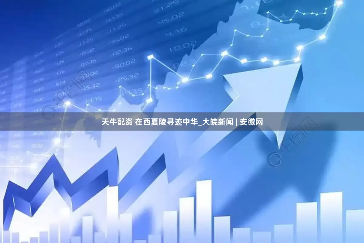 天牛配资 在西夏陵寻迹中华_大皖新闻 | 安徽网